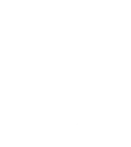 TikTok Logo